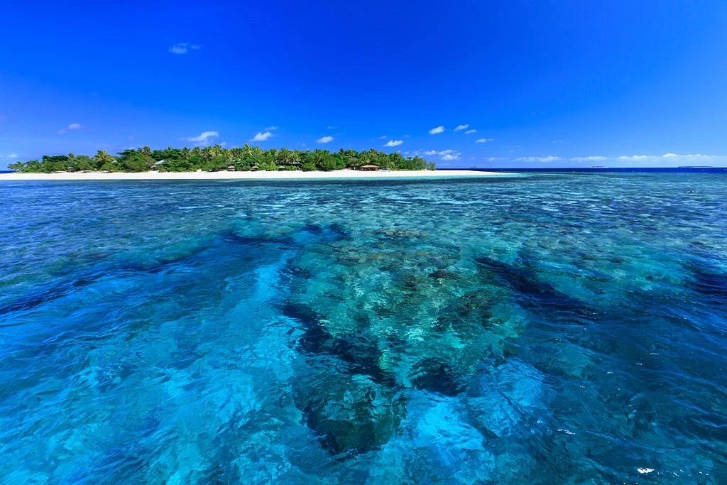 Navini Island: a small green island ringed by white sand and reef
